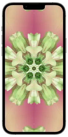 Light Green Flower Wallpaper